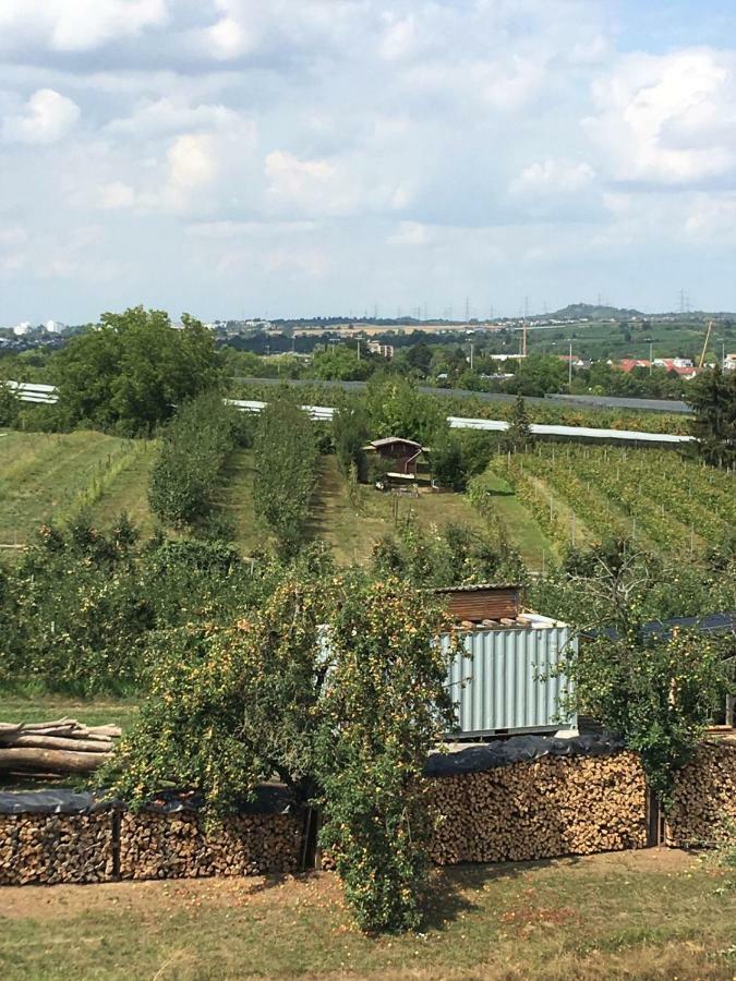 Ferienwohnungen Weinstadt Eksteriør bilde